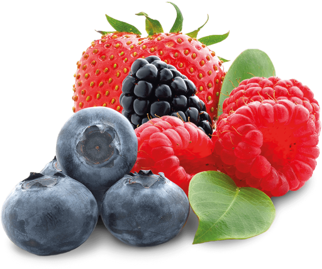 Fruits